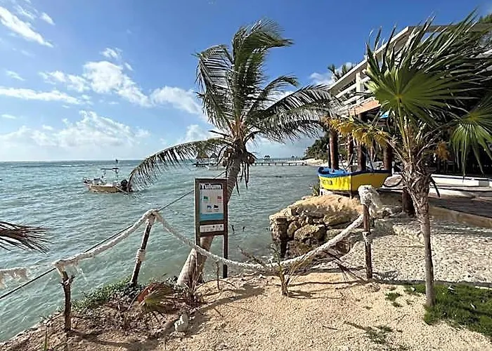 Hotel Casa Cenote 4*